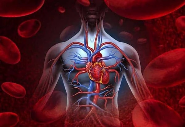 రక్తాన్ని శుద్ధి చేయడానికి ఏడు సులభమైన మార్గాలు ఇవే..!! దయచేసి తెలుసుకోండి..!!