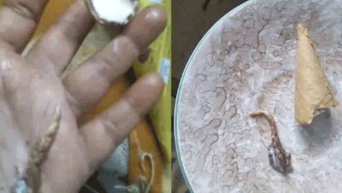 షాకింగ్: జాగ్రత్త.. ఐస్ క్రీం కోన్ లో బల్లి తోక కనిపించింది – దాన్ని తిన్న మహిళ ఏమైంది?: వీడియో