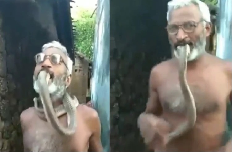 షాకింగ్: బతికున్న ‘నాగుపాము పడగ’ను నోటిలో పెట్టుకున్న వ్యక్తి: వీడియో వైరల్ | వీడియో చూడండి