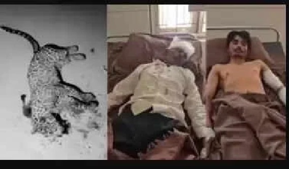 గొడ్డలితో దాడి చేసి చిరుతపులిని చంపిన రైతు!