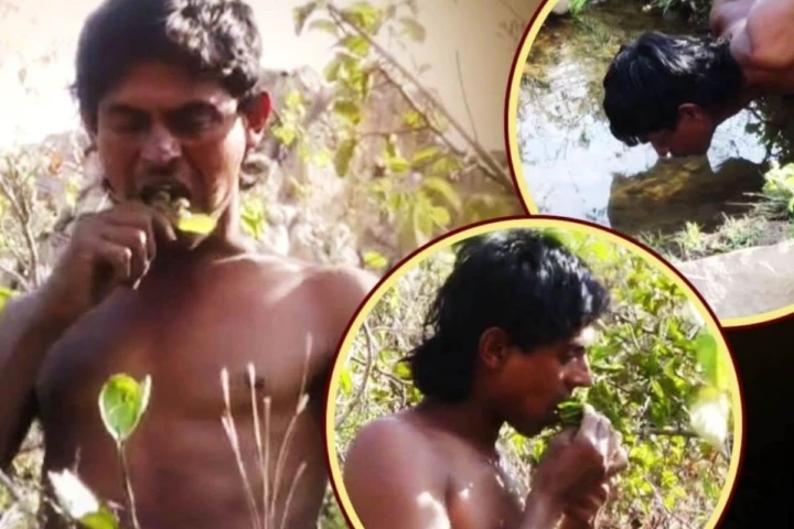 కర్ణాటక అడవిలో 10 ఏళ్లుగా ఆకులు తింటూ బతుకుతున్న వ్యక్తి.. సిక్స్ ప్యాక్ బాడీతో ఆశ్చర్యపరుస్తున్న వైనం!