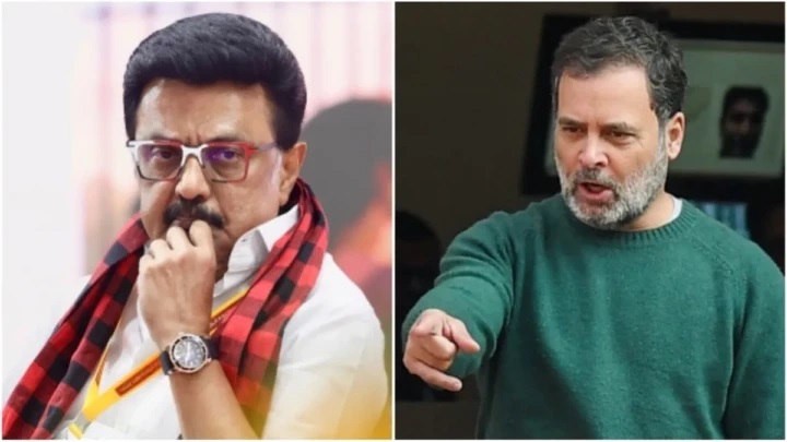 డీఎంకే అనుసరిస్తున్న టెక్నిక్ చాలా ప్రమాదకరం.. రాహుల్ గాంధీ భేటీలో కాంగ్రెస్ నేతల ఆవేదన!