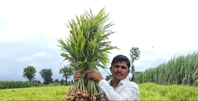ఎవరూ ఊహించని అద్భుతం చేసిన అహల్యనగర్ రైతు.. 30 గుంటల్లోనే 9 లక్షల రూపాయల సంపాదన!