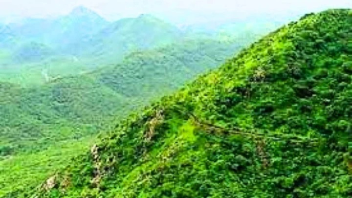 భారతదేశంలోని ఈ ఒక్క కొండ ప్రపంచానికే మందులను అందిస్తోంది!