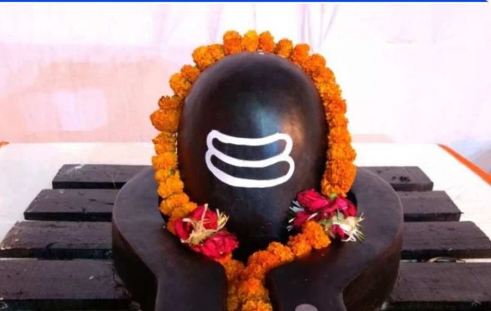 మహాశివరాత్రిపై భద్రా నీడ! 12 గంటల పాటు అశుభ సమయం; అభిషేకానికి అత్యంత శుభ ముహూర్తాలు ఇవే!