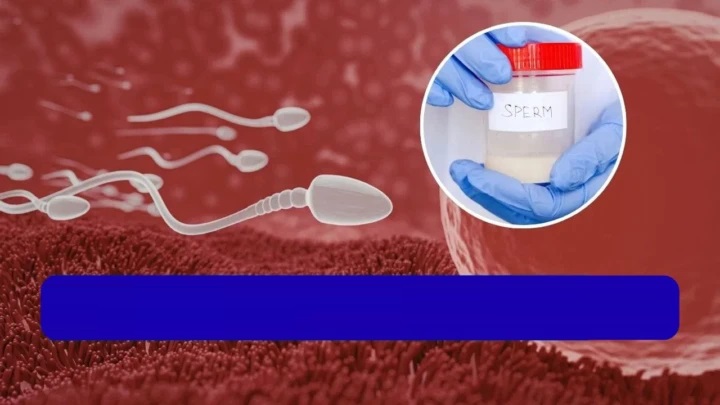 పురుషుల సంతానోత్పత్తి (Male Fertility): ఈ ప్రమాదకరమైన అలవాట్ల వల్ల పురుషులలో శుక్రకణాల నాణ్యత పడిపోతుంది!