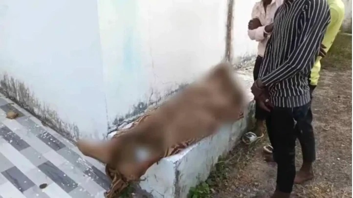 వివాహానికి వారం రోజులే ఉన్న సమయంలో ఘోరం.. విద్యుత్ తీగతో కాబోయే భర్త గొంతు నులిమి చంపిన యువతి; వెనుక ఉన్న షాకింగ్ కారణం ఇదే!