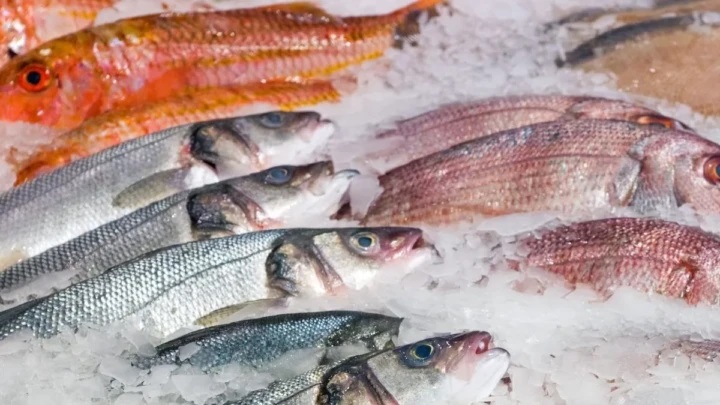 చేపలు తిన్న వారికి మళ్ళీ అస్వస్థత.. తీవ్ర హెచ్చరికలు; మార్కెట్లలో ముమ్మర తనిఖీలు!