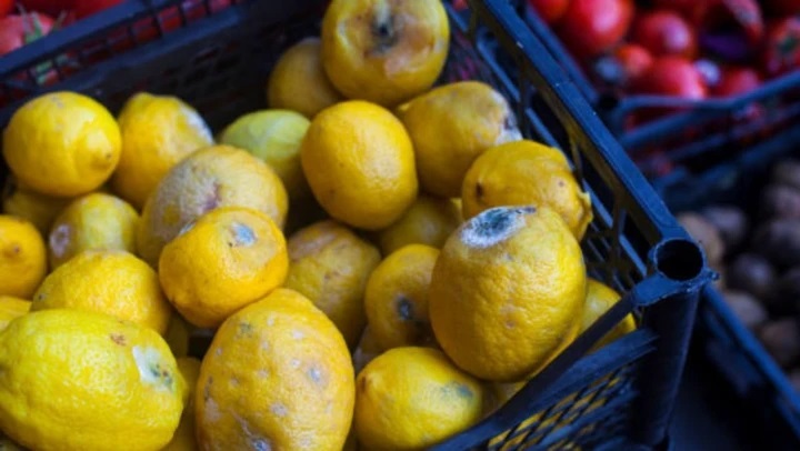 నిమ్మకాయలను ఎక్కువ కాలం తాజాగా ఉంచవచ్చు… ఇలా చేస్తే చాలు!