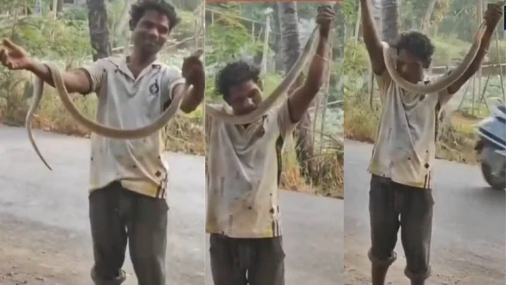 విరార్ విషాదం: ప్రమాదకరమైన పాము విన్యాసాలు చేస్తూ 40 ఏళ్ల వ్యక్తి మృతి; వీడియో వైరల్