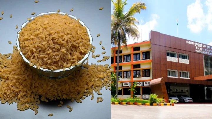 అన్నం తిన్నా షుగర్ పెరుగుతుందని భయం వద్దు! వచ్చేసింది ‘డిజైనర్ రైస్’! డయాబెటిస్ పేషెంట్లకు శుభవార్త!
