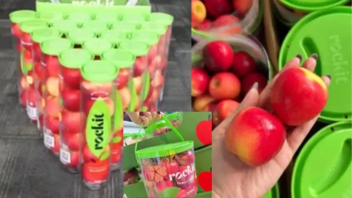 పాట్నాలో అమ్ముడవుతున్న న్యూజిలాండ్ ‘రాకిట్ ఆపిల్’; కొనుగోలుదారులు IAS, IPS మరియు మంత్రులే! అర కిలో ఆపిల్ ధర తెలిస్తే షాక్ అవుతారు.