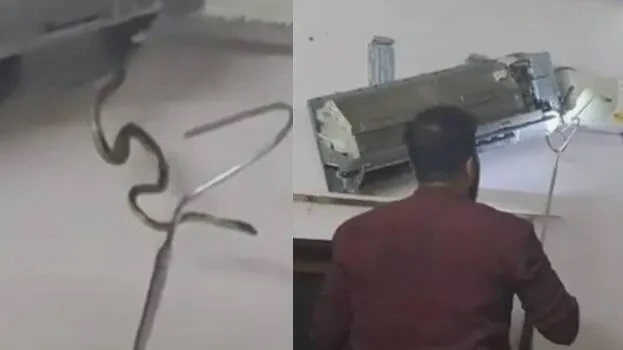 బెడ్‌రూమ్ ఏసీ (AC) లో ఐదు పాములు; తిరువనంతపురం వాసి ఇంట్లో షాకింగ్ దృశ్యం