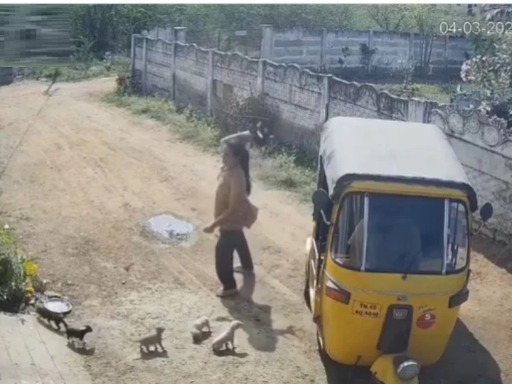 పొరుగువారితో గొడవ.. మూడేళ్ల కొడుకును కొట్టారని నవజాత కుక్కపిల్లలను గోడకేసి కొట్టి చంపిన 28 ఏళ్ల మహిళ | ఒళ్లు గగుర్పొడిచే వైరల్ వీడియో