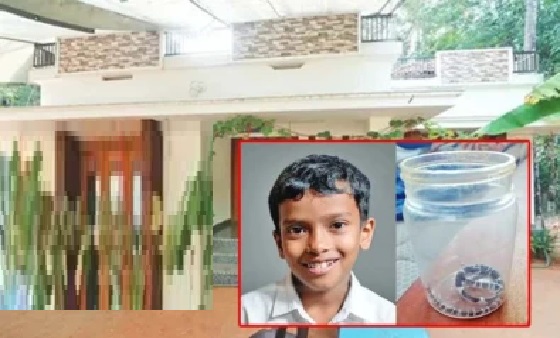 ఎండ తీవ్రత వల్ల కిటికీలు తెరిచి పడుకున్న కుటుంబం; ఇంటి గోడలకు అల్లుకున్న ద్రాక్ష తీగలే పాముకు దారి; 8 ఏళ్ల బాలుడు మృతి.. గ్రామంలో విషాదం