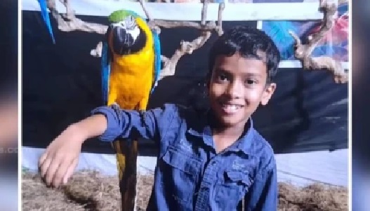 తలగడ కింద పాము: త్రిశూర్లో పాము కాటుకు ఎనిమిదేళ్ల బాలుడు మృతి; సోదరుడి పరిస్థితి విషమం!