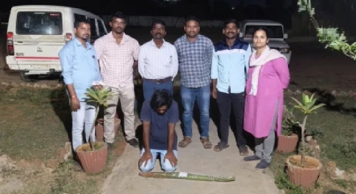 నిషా ఖర్చుల కోసం ఇంట్లోనే గంజాయి సాగు చేసిన ఇంజనీర్! దాడులు చేసిన పోలీసులు.. 15 కంటే ఎక్కువ మొక్కల స్వాధీనం