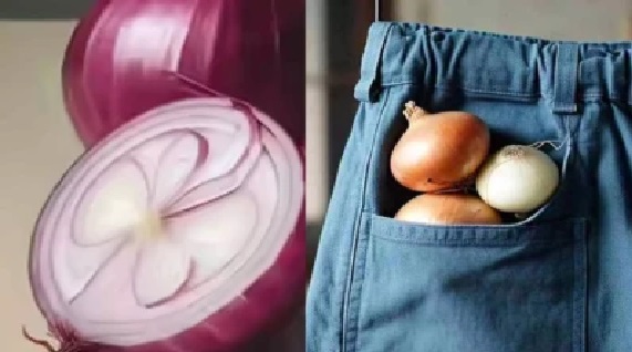 వడగాల్పులు మరియు ఉల్లిపాయ: చేతిలో ఉల్లిపాయ ఉంచుకుంటే వేడి తగ్గుతుందా? డాక్టర్లు ఏమంటున్నారంటే..