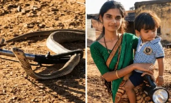 ఎవరైనా నా బిడ్డపై చేయి వేస్తే, వాడిని చంపేస్తాను. బిడ్డ ముందు ఒక నాగుపాము పాకింది.. తల్లి అవతలికి దూకింది.. ఒళ్లు గగుర్పొడిచే సంఘటన.
