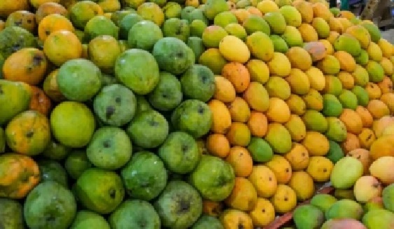 జాగ్రత్త! మీరు కొనే మామిడి పండ్లు తీపి విషాలా? ఆ 3 తప్పులు అస్సలు చేయకండి.. పండును గుర్తించే 6 సూత్రాలు ఇవే!