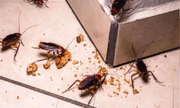 ప్రవాసాంధ్రుడి ఇల్లాలు.. కన్నీటి కావ్యం! ఈ విరహ వేదన అనుభవించిన వారికే తెలుస్తుంది..!!