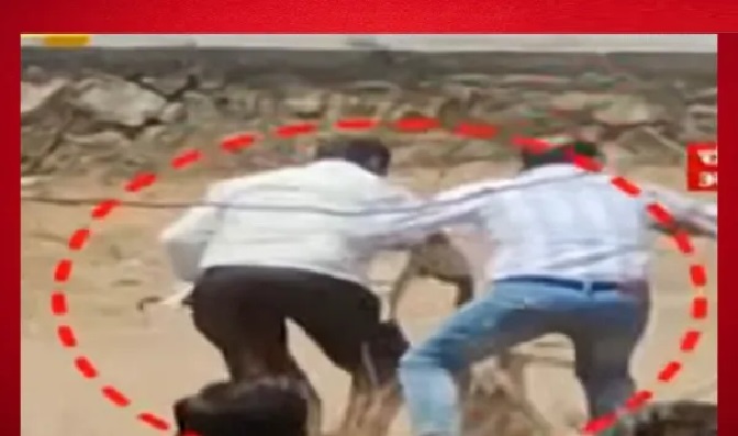 ఎమ్మెల్యే సాహసమా? రాజకీయ స్టంట్లా? చిరుతను కర్రతో కొట్టిన చంద్రకాంత్ పాటిల్.. ప్రాణాల మీదకు తెచ్చుకున్న ముక్తాయీనగర్ ఎమ్మెల్యే!