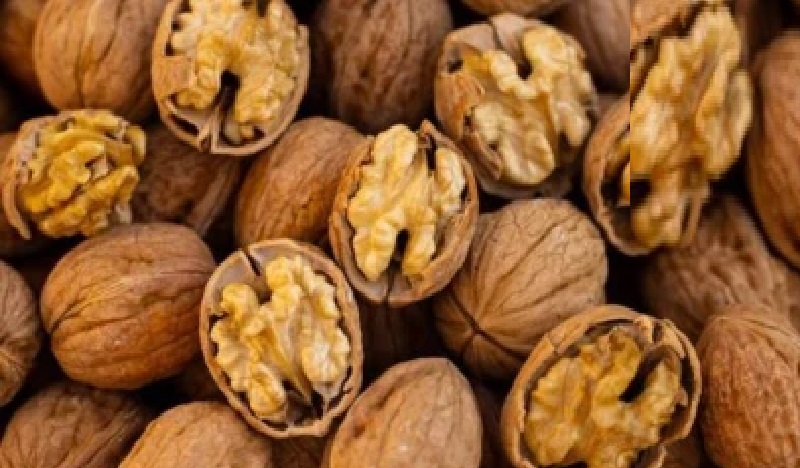 Walnut సాగుతో కనకవర్షం: ఒక్క చెట్టుతో రూ. 30 వేల ఆదాయం.. రైతుల పాలిట ‘సిరి’ సంపద!