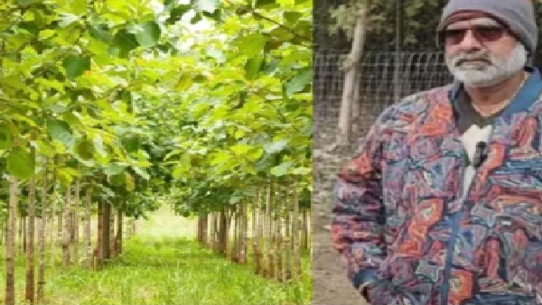 అపర కుబేరుడిగా మారిన సామాన్య రైతు: 13 వేల మొక్కలతో రూ.100 కోట్ల సామ్రాజ్యం.. అనిల్ బడకుల్ సంచలన విజయం!