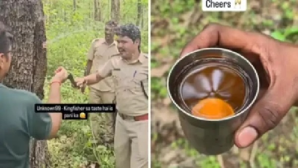 ప్రకృతి వింత..! అడవిలో చెట్టును నరకగానే ఉప్పొంగిన నీరు; అటవీ అధికారులే షాక్.. ఇంటర్నెట్లో వైరల్ అవుతున్న ఆశ్చర్యకరమైన వీడియో!