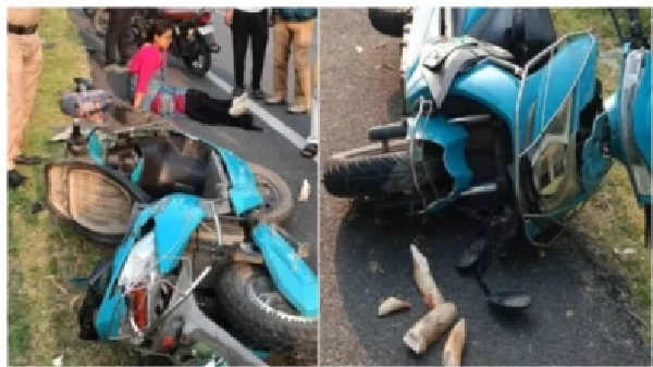 “స్కూటీపై వెళ్తున్న మహిళకు ఊహించని ప్రమాదం”: అకస్మాత్తుగా అడ్డువచ్చిన ఏనుగును ఢీకొట్టడంతో విరిగిన దంతం.. వైరల్ అవుతున్న వీడియో..!!