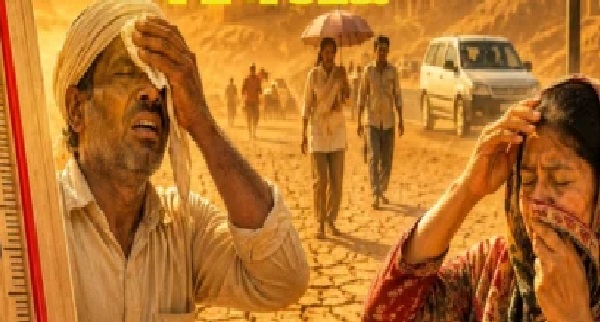 రేపటి నుంచే ‘రోళ్లు పగిలే’ రోహిణి కార్తె మొదలు.. ఈ 9 రోజులు జాగ్రత్త! వేడిని పెంచే ఈ ఆహారాలకు దూరంగా ఉండండి.