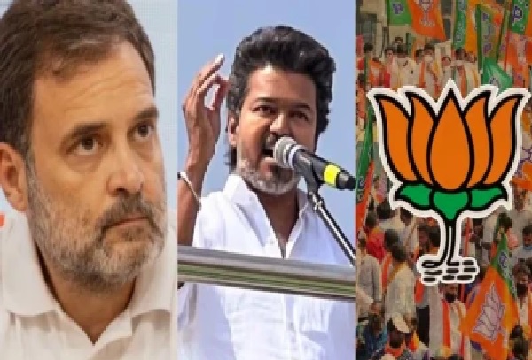 విజయ్ ఆలోచన వేరు.. కాంగ్రెస్ కూటమి వద్దు! దూరం పెట్టడానికి ప్లాన్? అసలు కారణం బీజేపీయేనా?