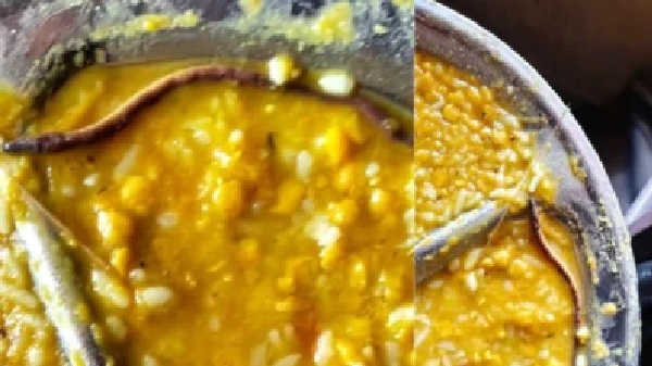 బీహార్: మధ్యాహ్న భోజనంలో పాము పిల్ల – 250 మందికి పైగా విద్యార్థులు అస్వస్థత!