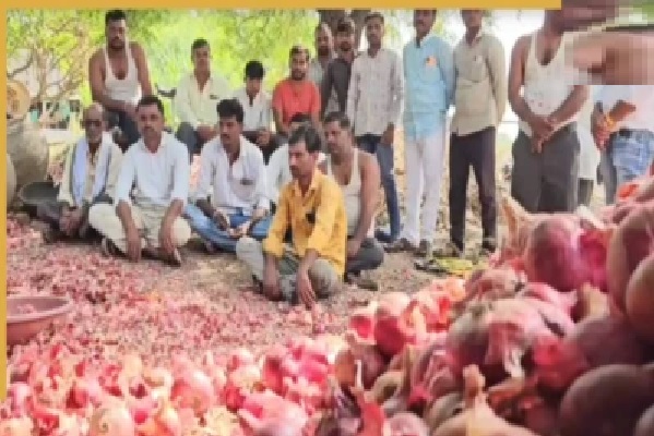 1262 కిలోల ఉల్లి విక్రయించినా మహారాష్ట్ర రైతుకు నష్టమే; మార్కెట్ నుండి రిక్తహస్తాలతో తిరుగుముఖం.. ఎదురుగా 1 రూపాయి చెల్లింపు!