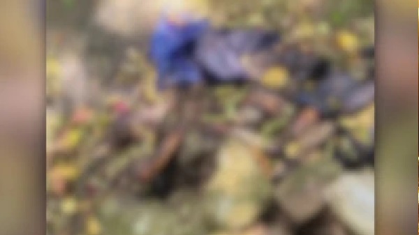 60 ఏళ్ల తండ్రి రెండో పెళ్లికి సిద్ధం, అడ్డుకున్న అవివాహితుడైన కొడుకు; గొడవ ముదరడంతో కొడుకును కాల్చి చంపి, తండ్రి ఆత్మహత్య