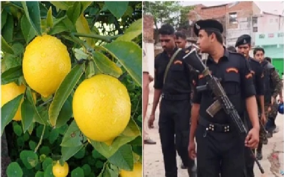 బీహార్లో దారుణం: ఒక్క నిమ్మకాయ కోశాడని బాలుడిని కొట్టి చంపారు; ప్రతీకారం కోసం వచ్చిన జనంపై రాళ్ల దాడి.. 60 పోలీస్ స్టేషన్ల బలగాలు మోహరింపు