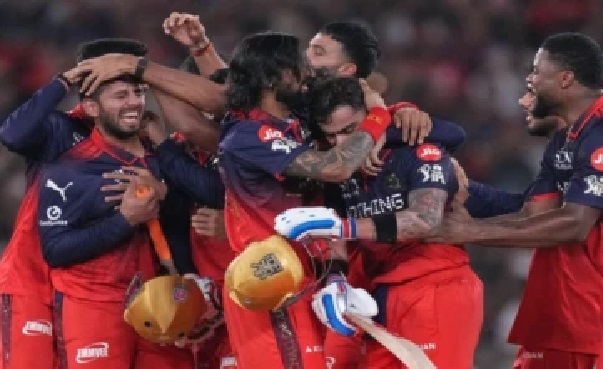 IPL ప్రైజ్ మనీ: ఛాంపియన్ RCBకి కాసుల వర్షం, ఎవరికి ఎన్ని కోట్లు వచ్చాయంటే!