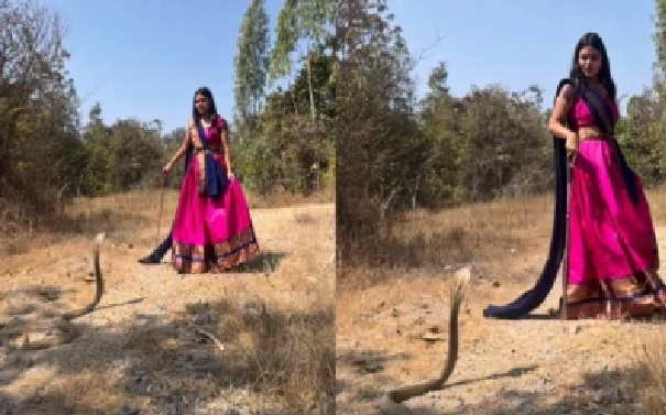 పాము వీడియో: అలంకరించుకుని కింగ్ కోబ్రా దగ్గరకు వెళ్లిన యువతి.. ఆ తర్వాత ఆమె చేసిన పని చూస్తే షాక్ అవ్వాల్సిందే! వీడియో చూడండి