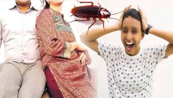 ఒక్క బొద్దింక వల్ల విడాకులు తీసుకుంటున్న భార్యాభర్తలు! ఏకంగా 18 సార్లు ఇళ్లు మార్చినా భార్య ప్రవర్తనలో మార్పు రాలేదు!