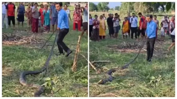 గుండె ఒక్క నిమిషం ఆగిపోయింది! 14 అడుగుల ‘యమరాజన్’.. ఒట్టి చేతులతో తోక పట్టి లాగిన యువకుడు.. మరుక్షణమే జరిగిన భయానక దృశ్యం.!!!
