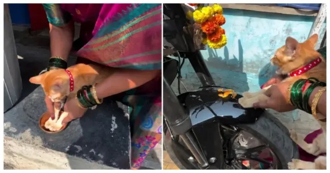 ఇదేందయ్యా ఇది.. “పిల్లి ఎదురొస్తే అపశకునం” అంటారు కదా.. కానీ ఈ తల్లి చేసిన పని చూస్తే షాకవుతారు!.. వైరల్ వీడియో!