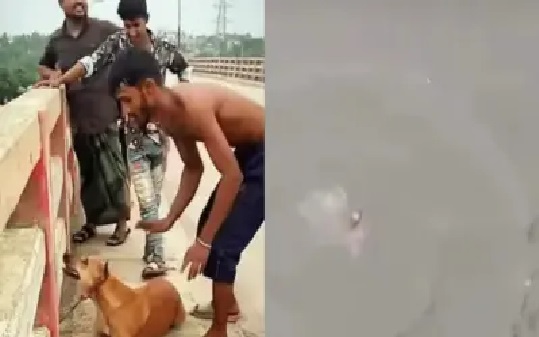 “గుండెల్లో కరుణ లేదా..? ప్రాణాలతో ఉన్న కుక్క మెడకు రాయి కట్టి నదిలో పడేసిన క్రూర యువకుడు”.. మూగజీవిపై జరిగిన అమానుష ఘటన.. వీడియో వైరల్..!!
