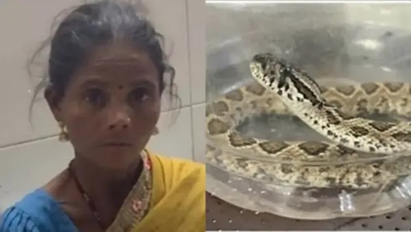 పాము కాటుకు గురైన మహిళ: ప్రాణాలను కాపాడుకోవడానికి ఆమె చేసిన సాహసం!