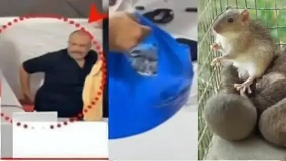 “పెయిన్ కిల్లర్ అనుకుని విషం మింగిన జనం.. 14,000 మాత్రల స్వాధీనం.. మొహర్రం ఊరేగింపులో పక్కా ప్లాన్.. వెనుక ఇరాన్ కనెక్షన్.. అసలేం జరుగుతోంది?”