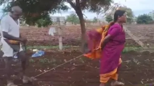 వృద్ధాప్యంలో ఇలాంటి కష్టమా..? “చేతిలో పైసా లేదు”.. నాగలికి భార్యను కట్టి పొలాన్ని దున్నిన రైతు.. గుండెల్ని పిండేస్తున్న వీడియో.!!!