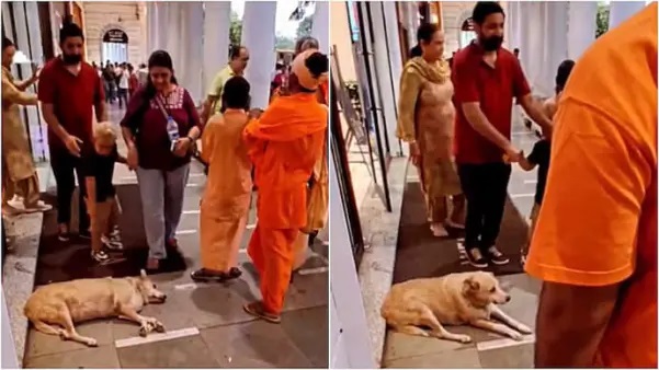 చిన్న వయసులోనే నేర్పించాలి..! నోరులేని జీవిపై రాయి విసిరిన బాలుడు.. తల్లిదండ్రుల పెంపకంపై మండిపడుతున్న ఇంటర్నెట్. షాకింగ్ వీడియో.!!