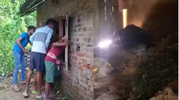 ఇది కాబోలు ఎలుగుబంటి చొరబడిన ఇల్లు..? 5 గంటల పాటు అల్లాడిపోయిన కుటుంబం.. ఒడిశాలో జరిగిన భయానక సంఘటన..!!