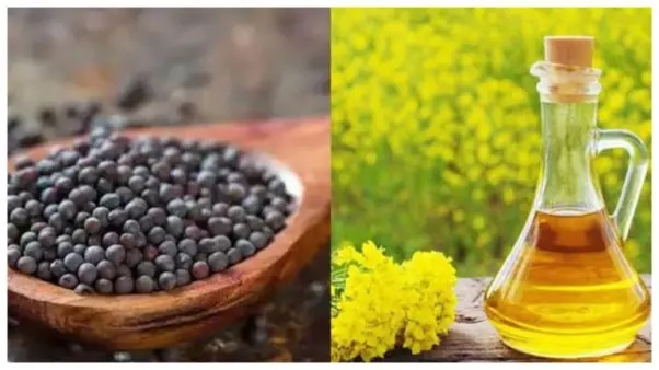 “20 ఏళ్లకే తెల్ల జుట్టు వచ్చేసిందా?”.. కరివేపాకు, ఉసిరి, ఆవనూనె కలిసి చేసే అద్భుతం. నల్లటి జుట్టు కోసం సూపర్ టిప్స్!.. మిస్ అవ్వకుండా చదవండి..!!!