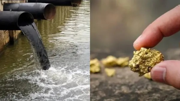 కాలువలో కొట్టుకుపోయిన కోట్ల విలువైన బంగారం, వెండి! బంగారాన్ని మురుగునీటిలో పారబోసే ఏకైక దేశం!