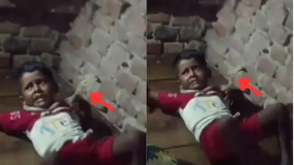 గంట సేపు..! 5 ఏళ్ల బాలుడి మెడను చుట్టుముట్టిన రాక్షస పాము. గాఢ నిద్రలో చిన్నారి. ప్రాణాలు గుప్పెట్లో పట్టుకుని నిలబడిన తల్లి. గుండెలు పిండేసే ఘటన.!!!
